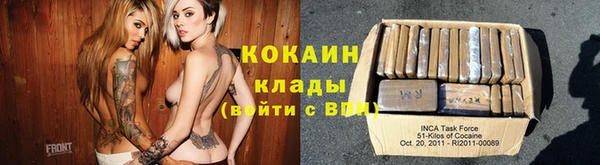 индика Арсеньев