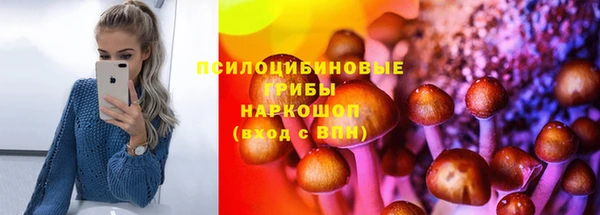 прущие грибы Аркадак
