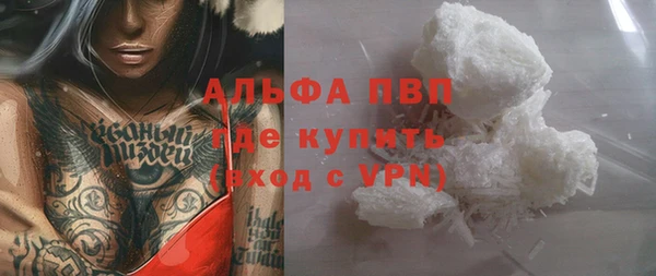 индика Арсеньев