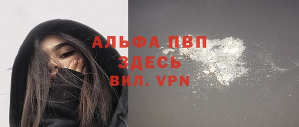 индика Арсеньев