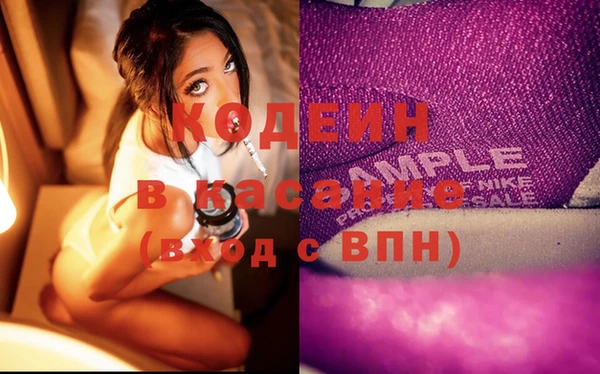 индика Арсеньев