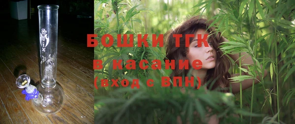 прущие грибы Аркадак