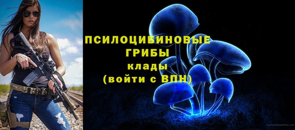 прущие грибы Аркадак
