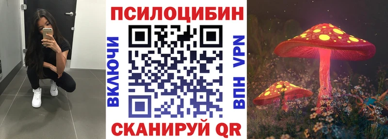 kraken рабочий сайт  нарко площадка формула  Знаменск  Галлюциногенные грибы мицелий  где найти  